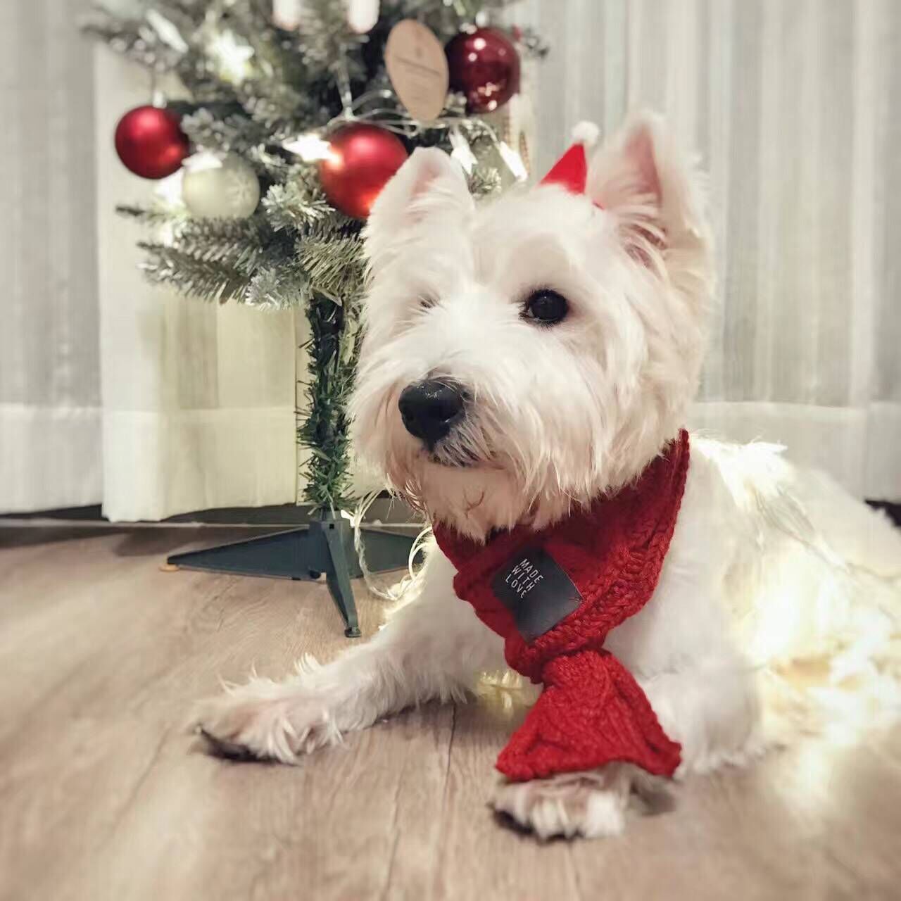 Écharpe Chaude Épaisse pour Chiens - Écharpe Mignonne pour Animaux